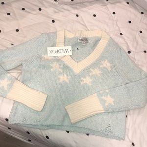 Wildfox light blue sweater